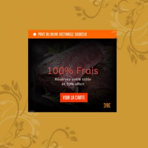 Création de bannières pour sites web 300x250
