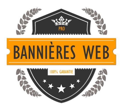 création de bannières publicité web agence web buziness