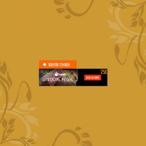 Création de boutons pour sites web 234x60