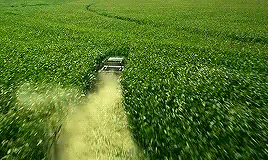 citations business marketing agence web buziness